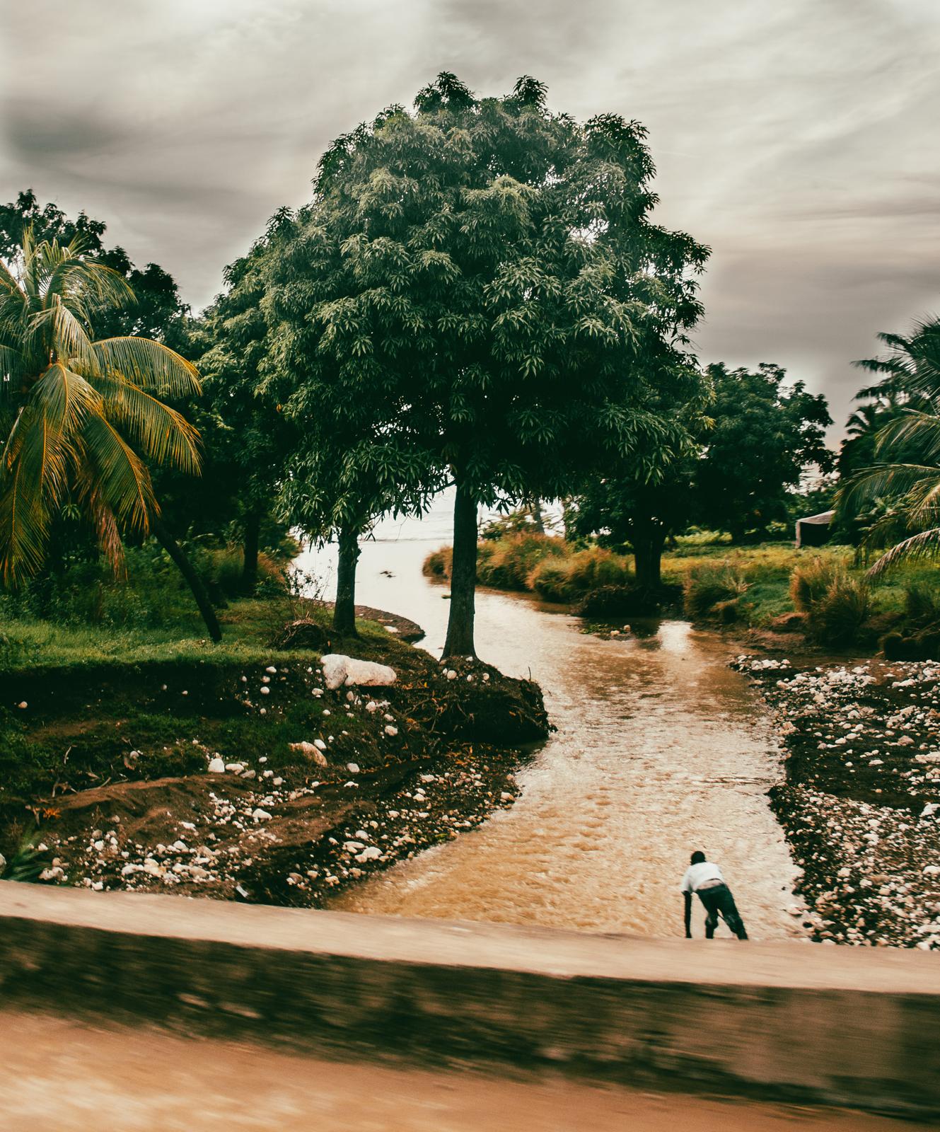 Chemin et végétation — photographie de JAKKHO